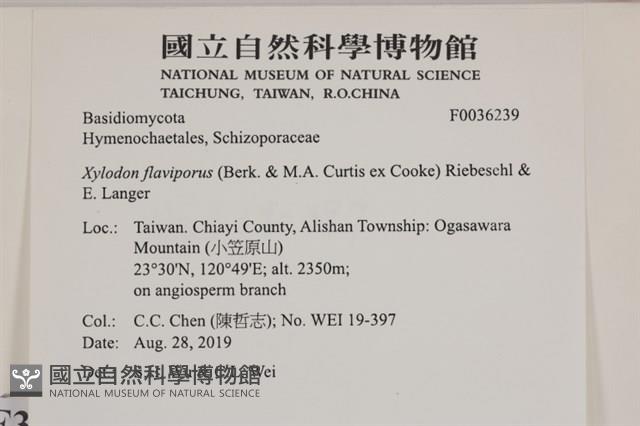登錄號:F0036239藏品圖，第2張