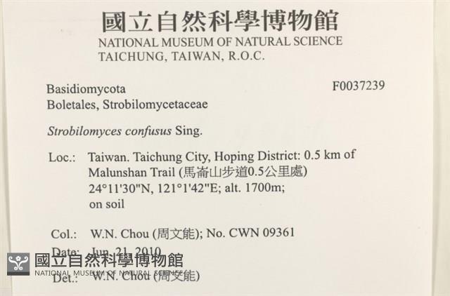 登錄號:F0037239藏品圖，第2張