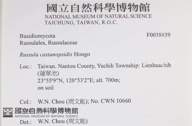 登錄號:F0038839藏品圖，第2張