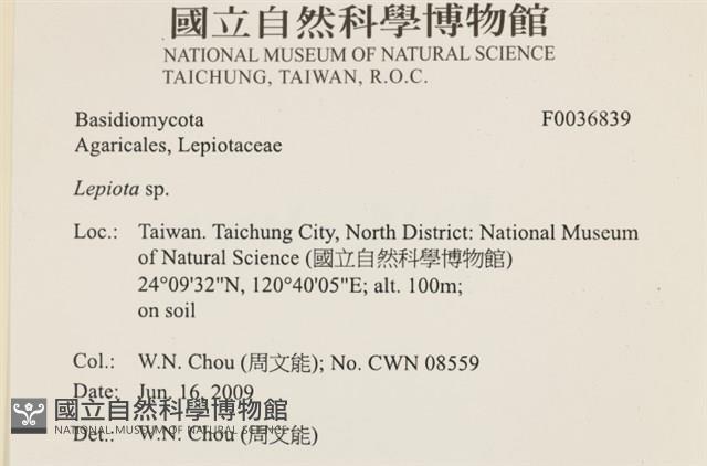 登錄號:F0036839藏品圖，第2張