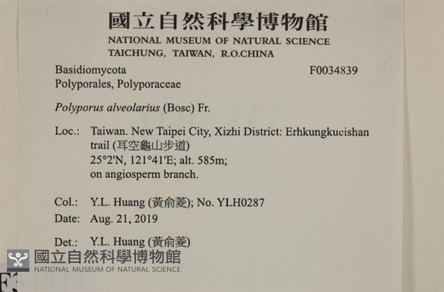 登錄號:F0034839藏品圖，第3張