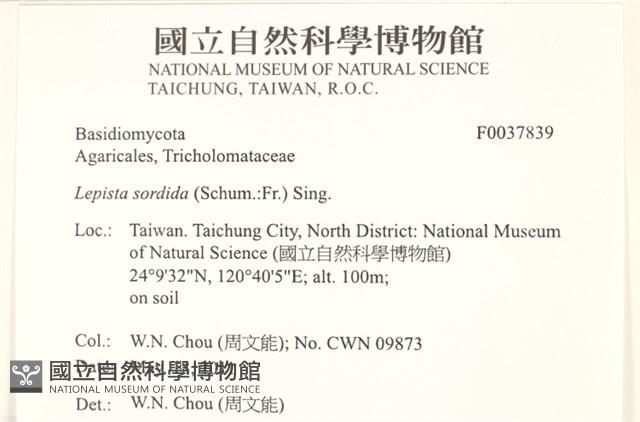 登錄號:F0037839藏品圖，第2張