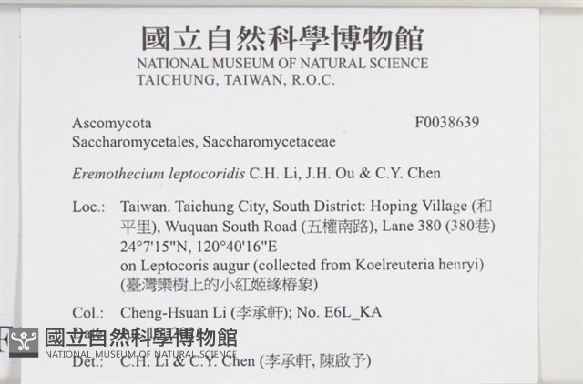 登錄號:F0038639藏品圖，第2張