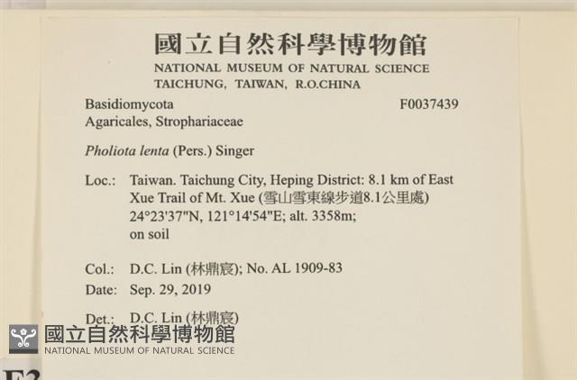 登錄號:F0037439藏品圖，第2張
