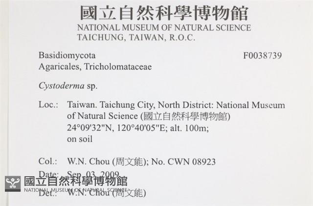 登錄號:F0038739藏品圖，第2張