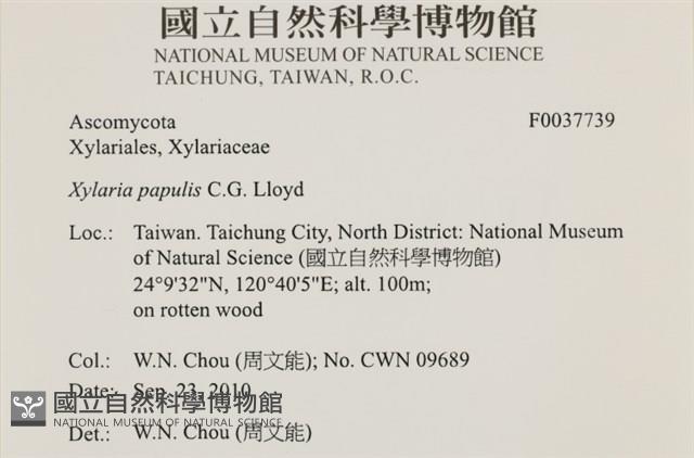 登錄號:F0037739藏品圖，第2張