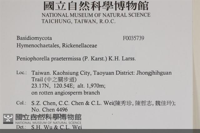 登錄號:F0035739藏品圖，第2張