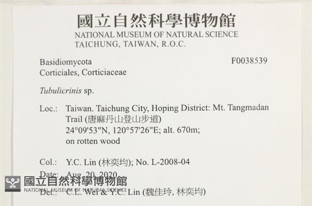 登錄號:F0038539藏品圖，第2張