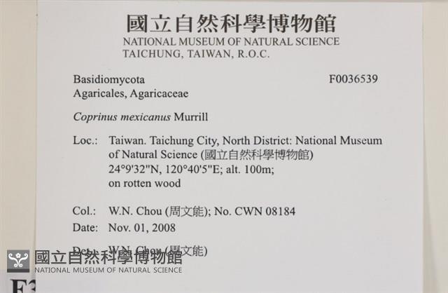 登錄號:F0036539藏品圖，第2張