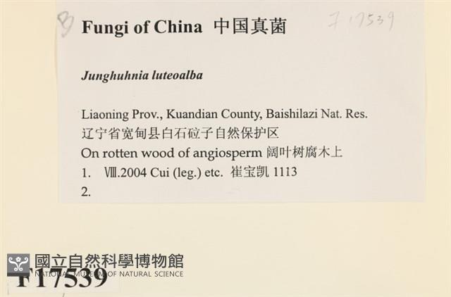 登錄號:F0017539藏品圖，第2張