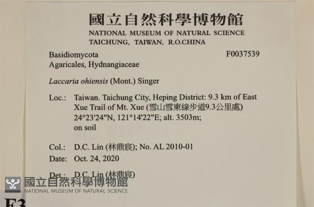 登錄號:F0037539藏品圖，第2張
