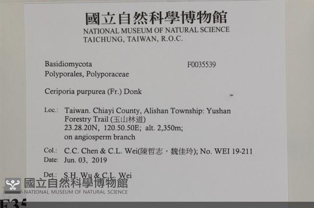 登錄號:F0035539藏品圖，第2張