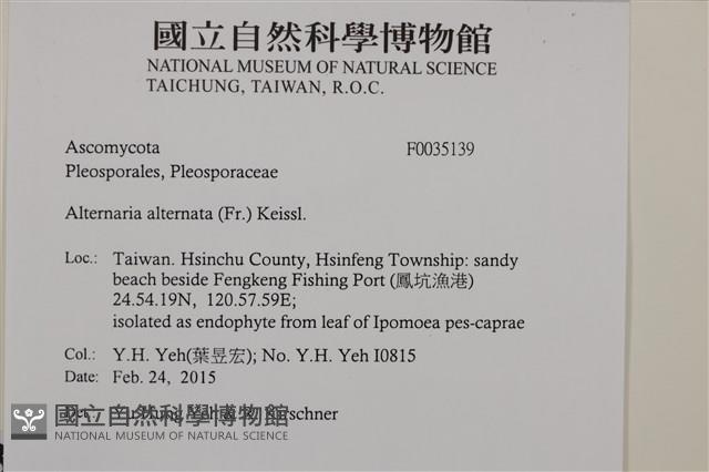 登錄號:F0035139藏品圖，第2張