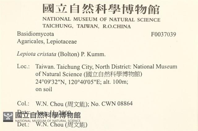 登錄號:F0037039藏品圖，第2張