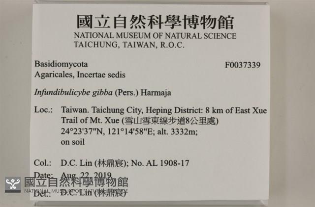 登錄號:F0037339藏品圖，第2張