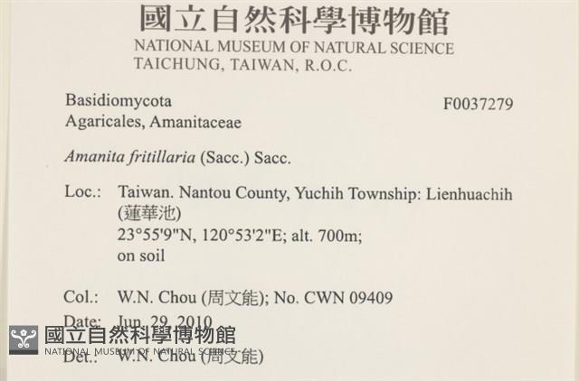 登錄號:F0037279藏品圖，第2張