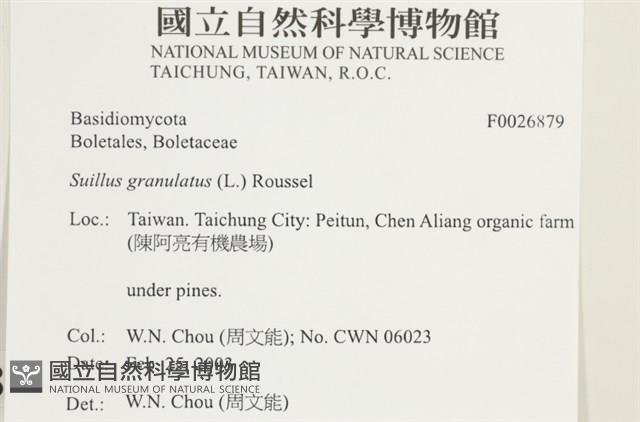 登錄號:F0026879藏品圖，第4張
