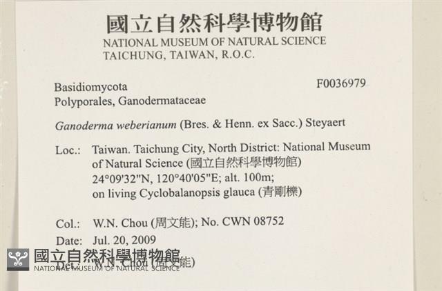 登錄號:F0036979藏品圖，第2張