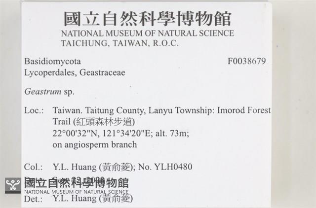 地星屬藏品圖，第2張