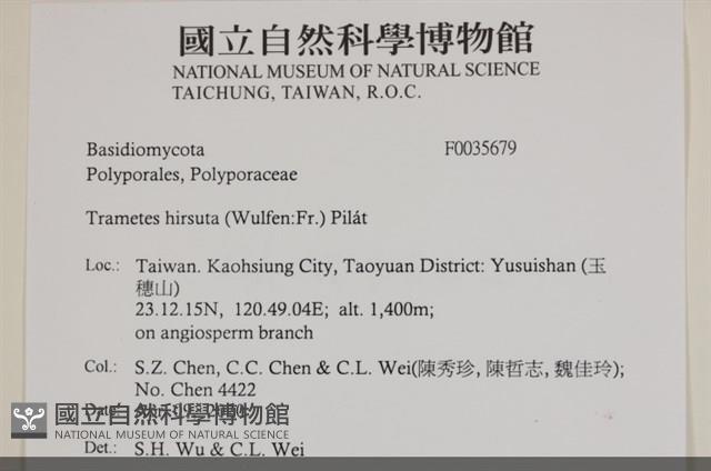登錄號:F0035679藏品圖，第2張