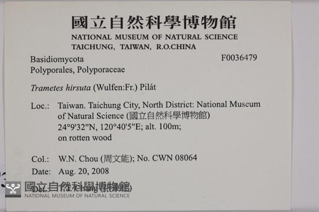登錄號:F0036479藏品圖，第2張