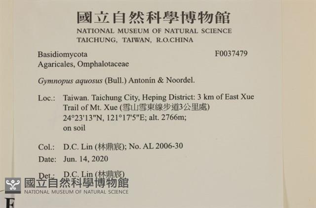 登錄號:F0037479藏品圖，第2張