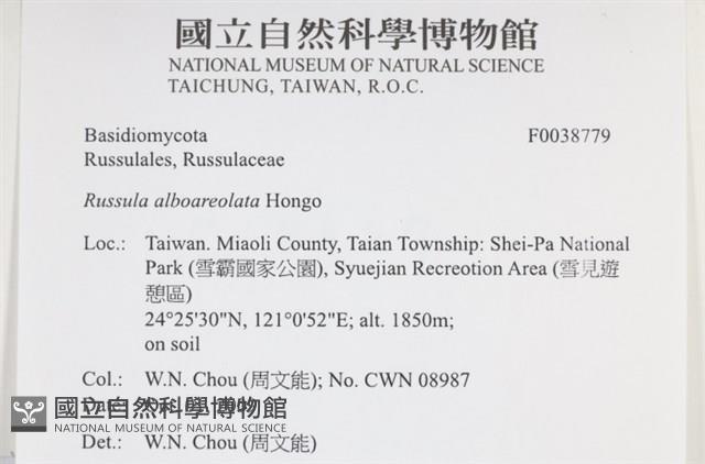 登錄號:F0038779藏品圖，第2張