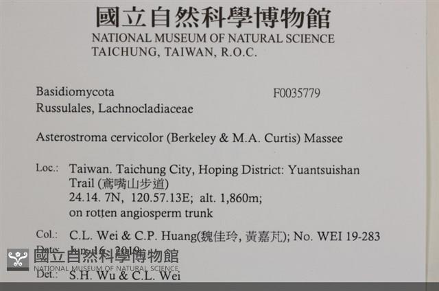 登錄號:F0035779藏品圖，第2張