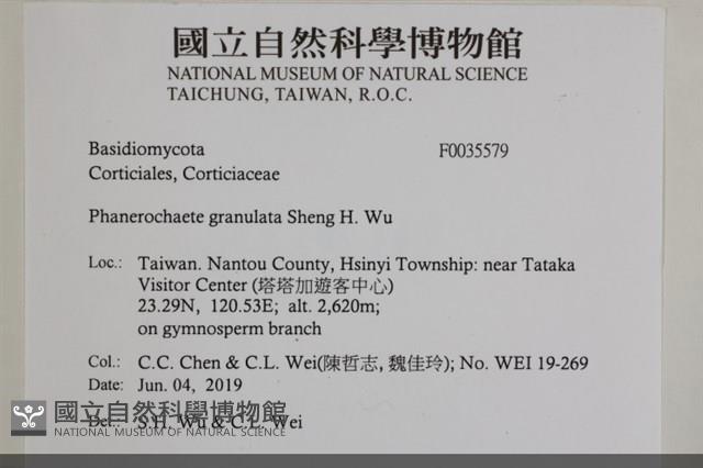 登錄號:F0035579藏品圖，第2張