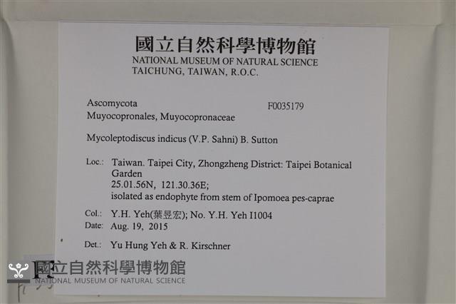 登錄號:F0035179藏品圖，第2張