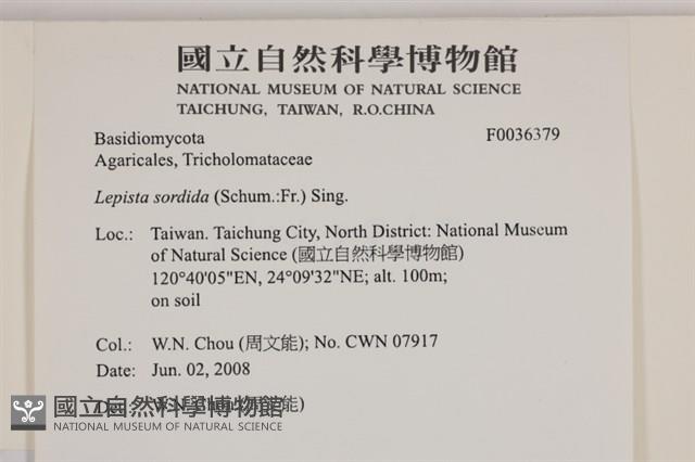 登錄號:F0036379藏品圖，第2張