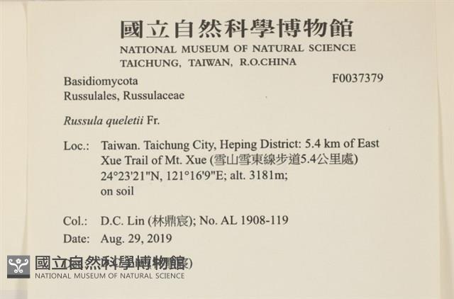 登錄號:F0037379藏品圖，第2張