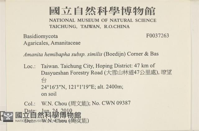 登錄號:F0037263藏品圖，第2張