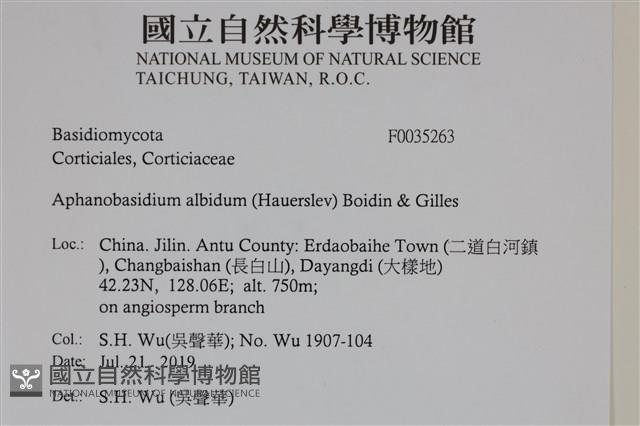 登錄號:F0035263藏品圖，第2張