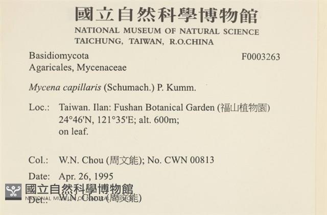 登錄號:F0003263藏品圖，第4張