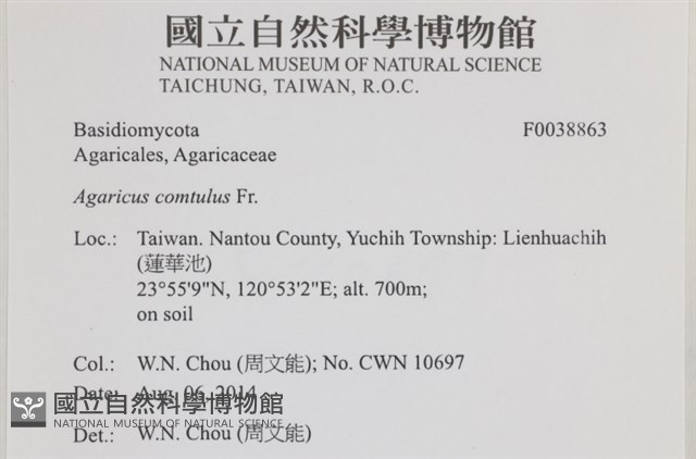 登錄號:F0038863藏品圖，第2張