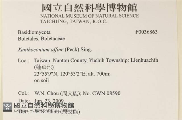 登錄號:F0036863藏品圖，第2張
