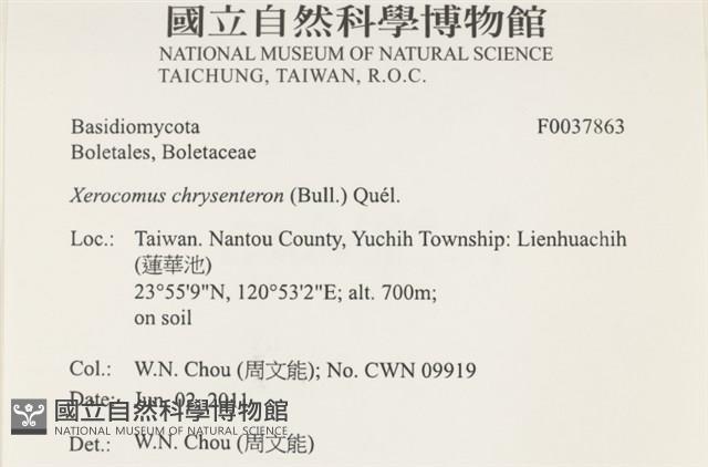 登錄號:F0037863藏品圖，第2張