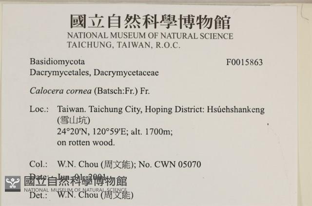 登錄號:F0015863藏品圖，第5張