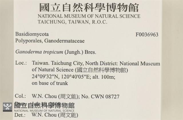 登錄號:F0036963藏品圖，第2張