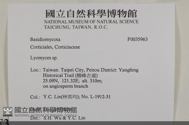 登錄號:F0035963藏品圖，第2張