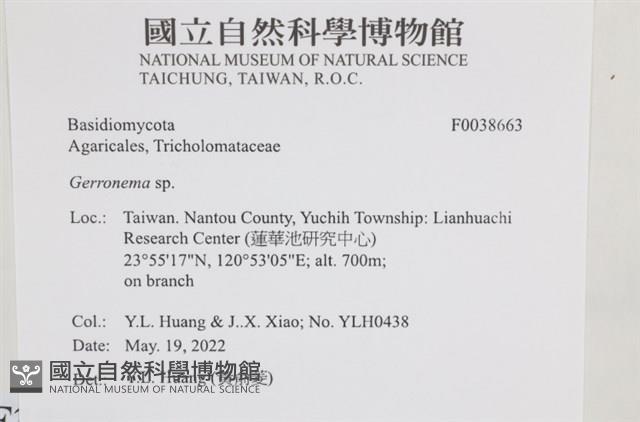 登錄號:F0038663藏品圖，第2張