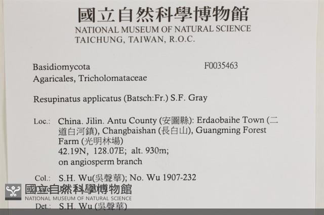 館號:F0035463藏品圖，第2張