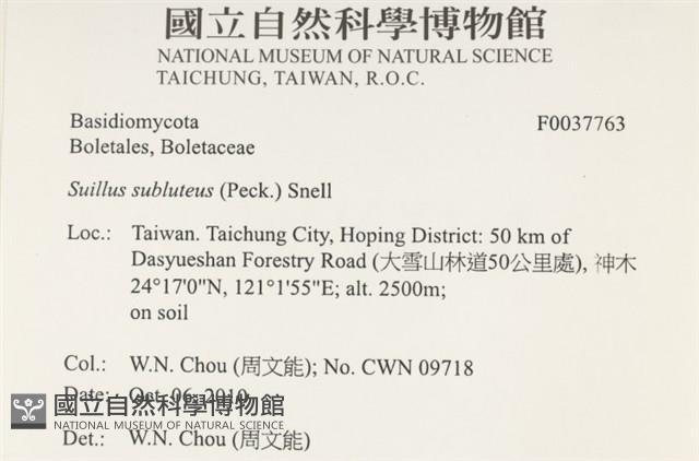 登錄號:F0037763藏品圖，第2張