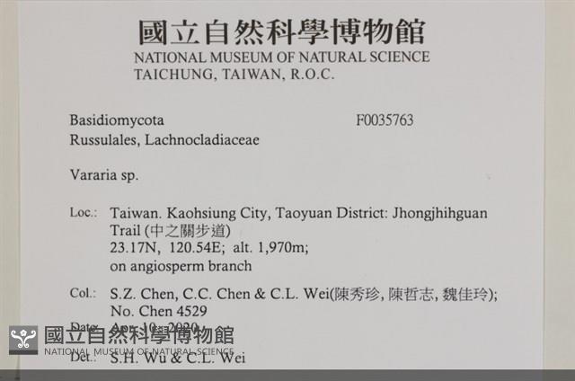 登錄號:F0035763藏品圖，第2張