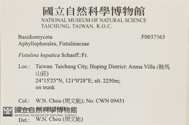 登錄號:F0037563藏品圖，第2張