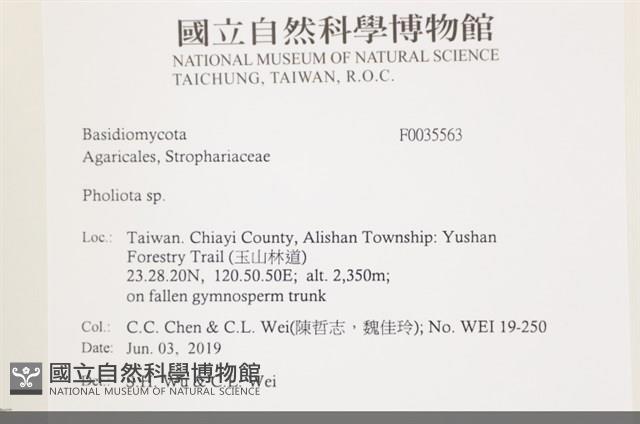 登錄號:F0035563藏品圖，第2張