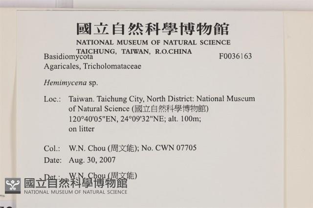 登錄號:F0036163藏品圖，第2張