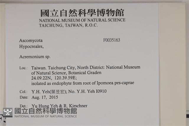 登錄號:F0035163藏品圖，第2張