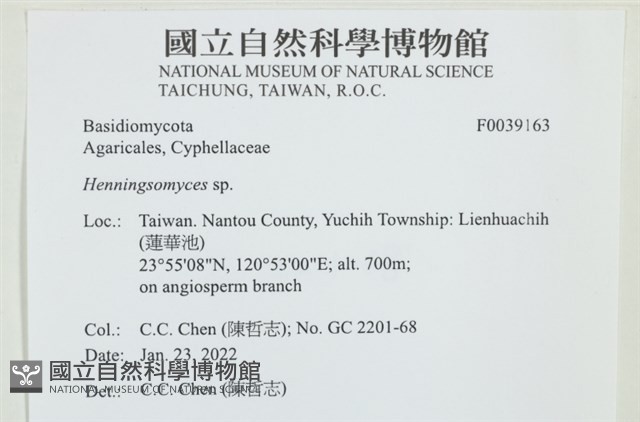 登錄號:F0039163藏品圖，第1張